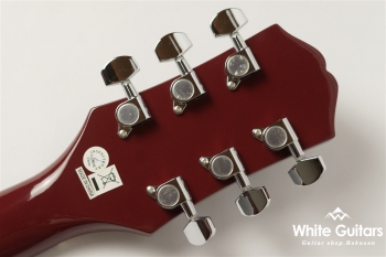 Starling Acoustic Guitar Player - Wine Red